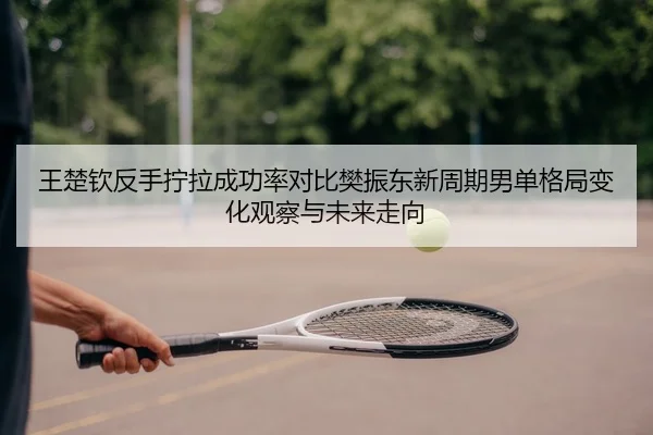 王楚钦反手拧拉成功率对比樊振东新周期男单格局变化观察与未来走向